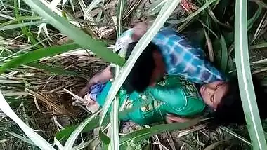 Dehati Lovers Having Sex In A Grass Field