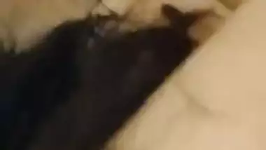 Indian housewife sex with husband after blowjob
