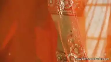 Bollywood Beauty Erotic Dancer